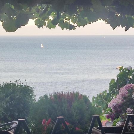 Villa Malezan Ohrid Kültér fotó