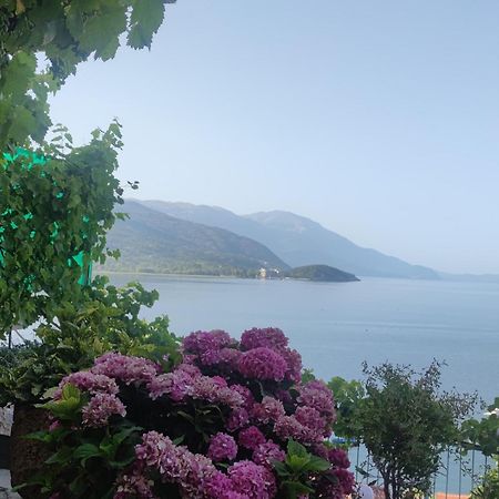 Villa Malezan Ohrid Kültér fotó
