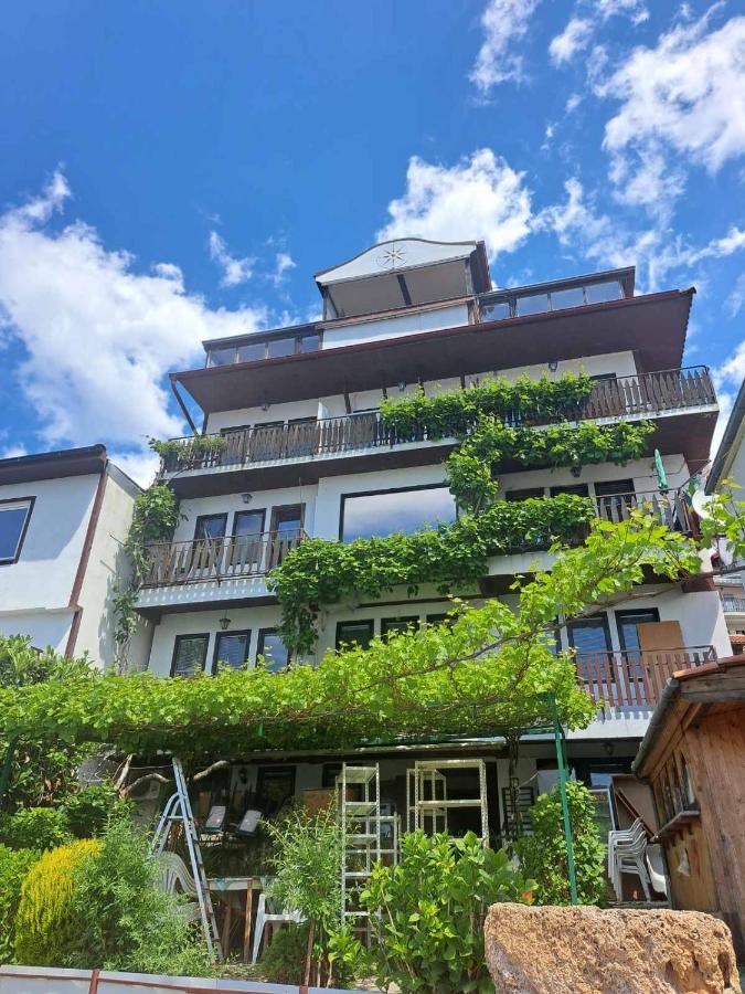Villa Malezan Ohrid Kültér fotó