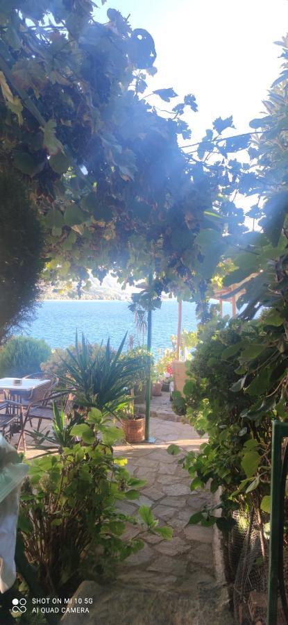 Villa Malezan Ohrid Kültér fotó