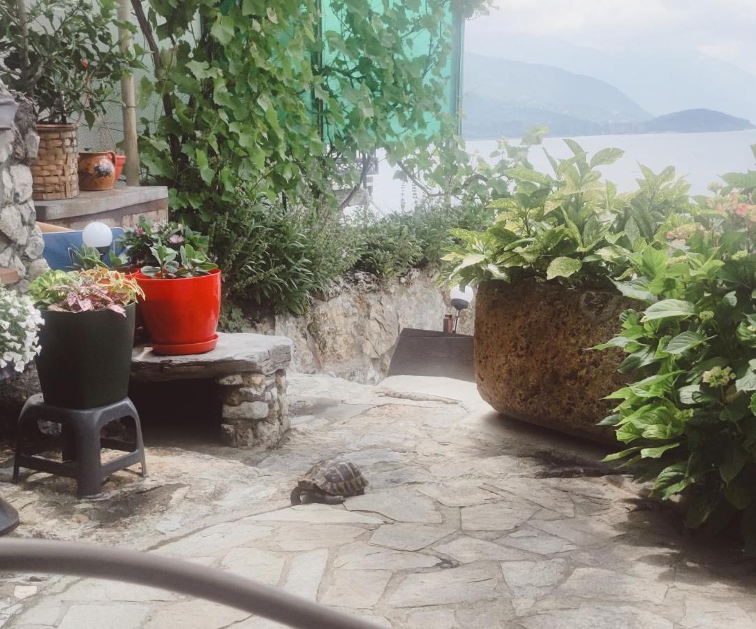 Villa Malezan Ohrid Kültér fotó