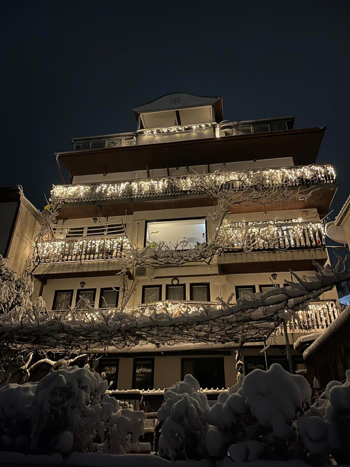 Villa Malezan Ohrid Kültér fotó