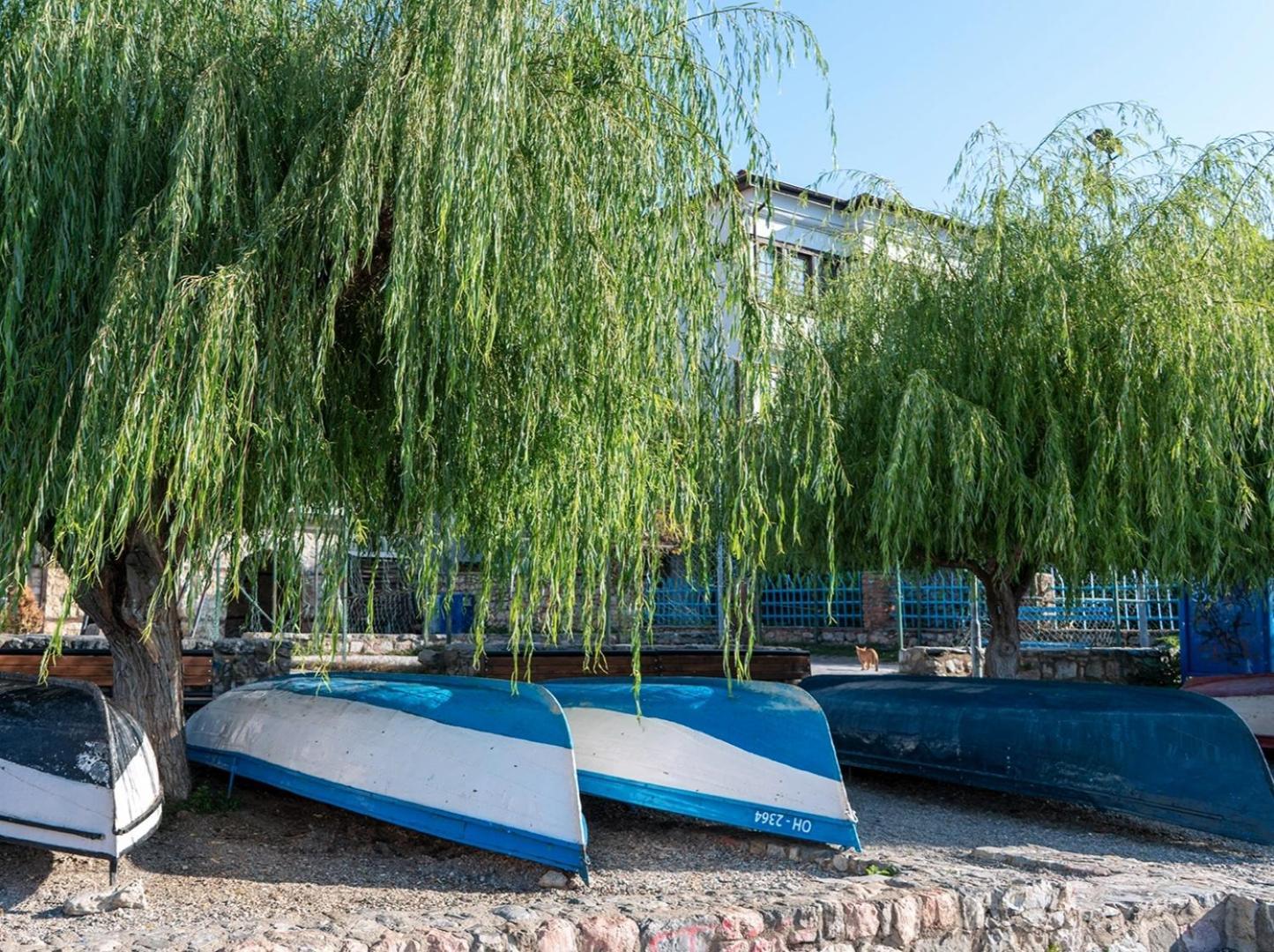 Villa Malezan Ohrid Kültér fotó