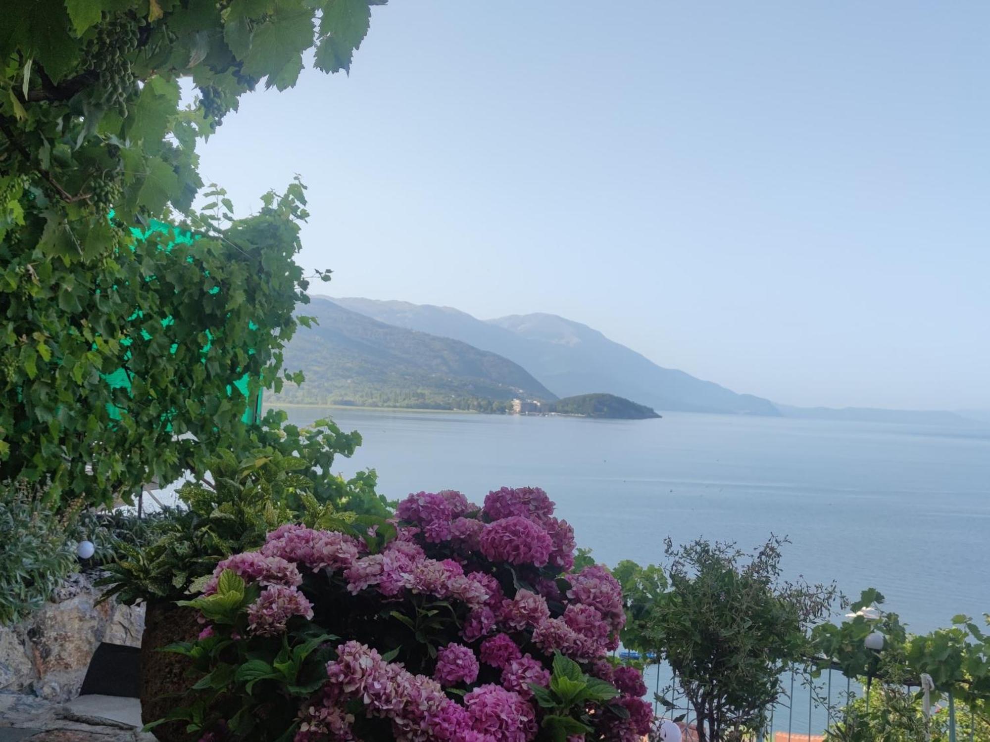 Villa Malezan Ohrid Kültér fotó