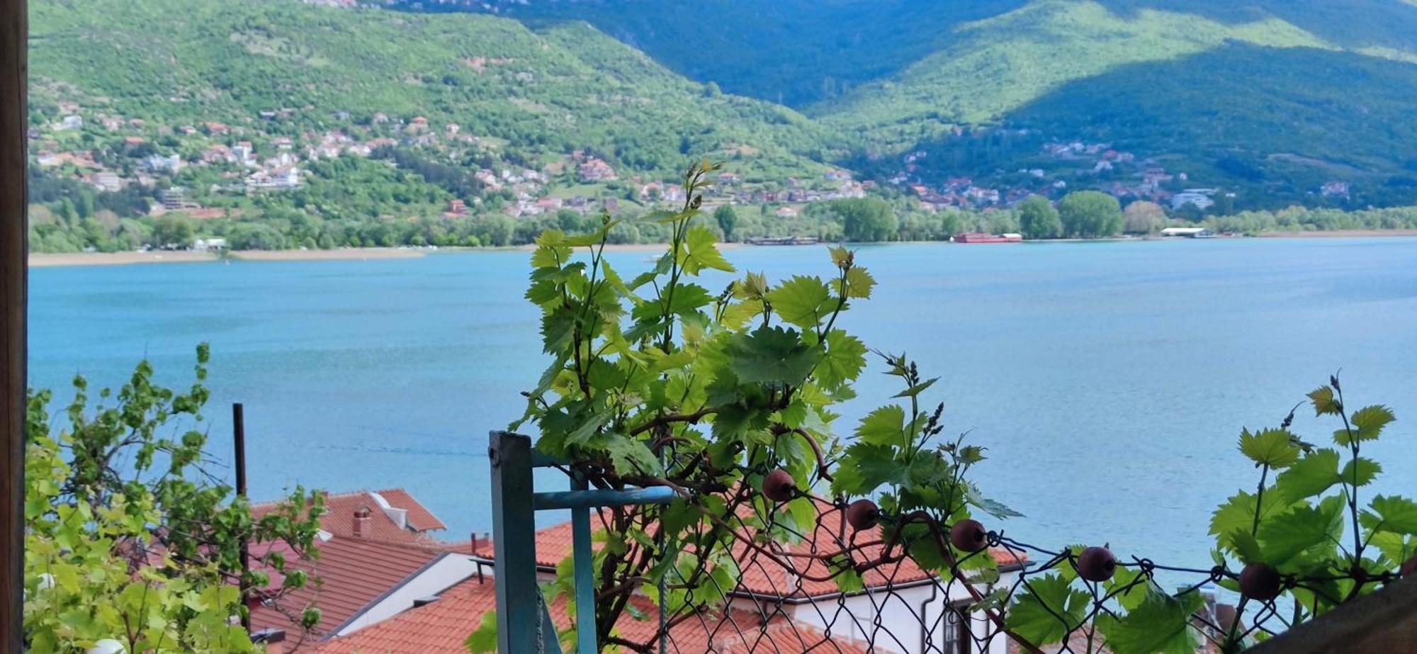 Villa Malezan Ohrid Kültér fotó